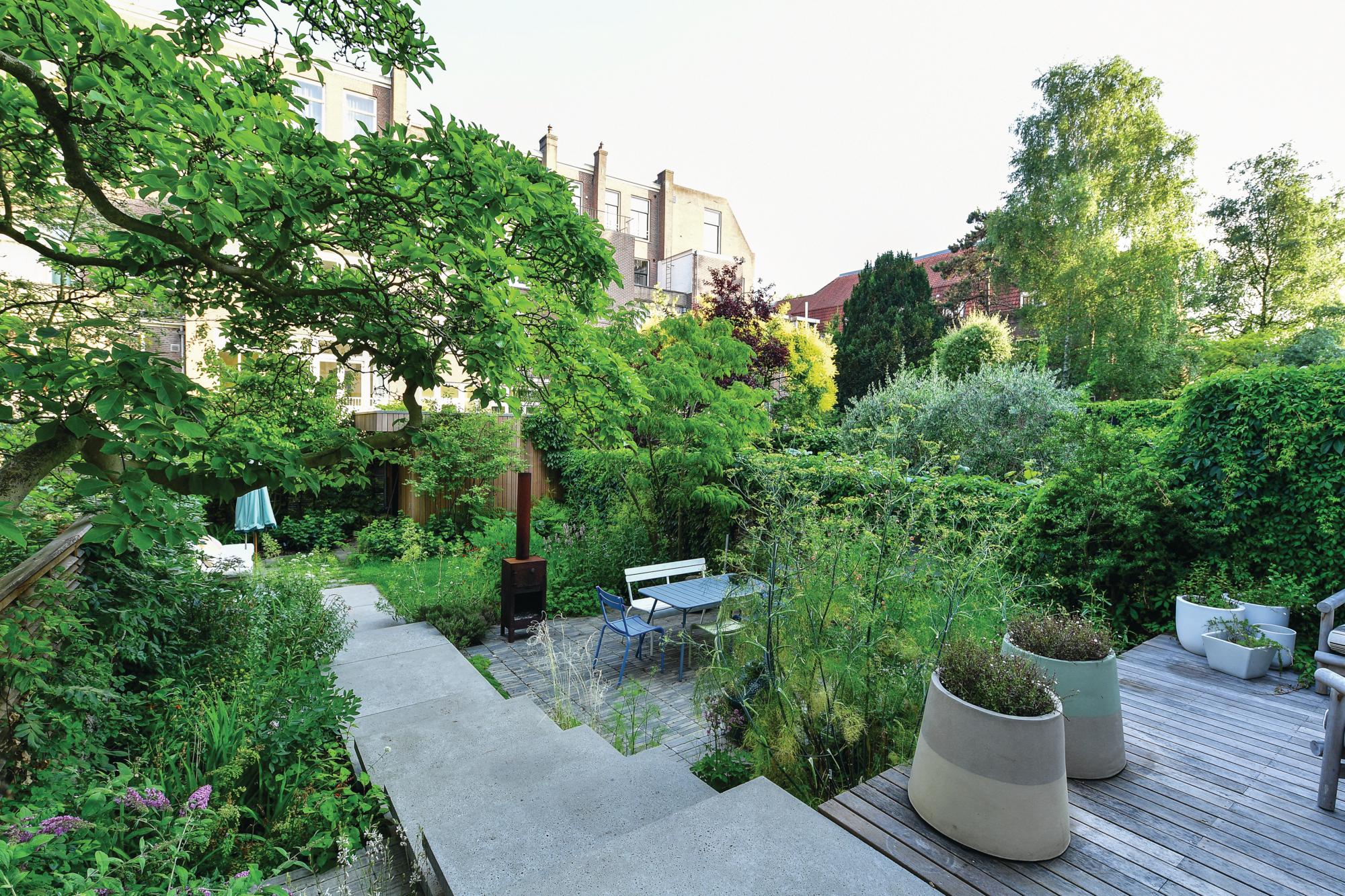Carolien Barkman's naturalistic small city design in Amsterdam
