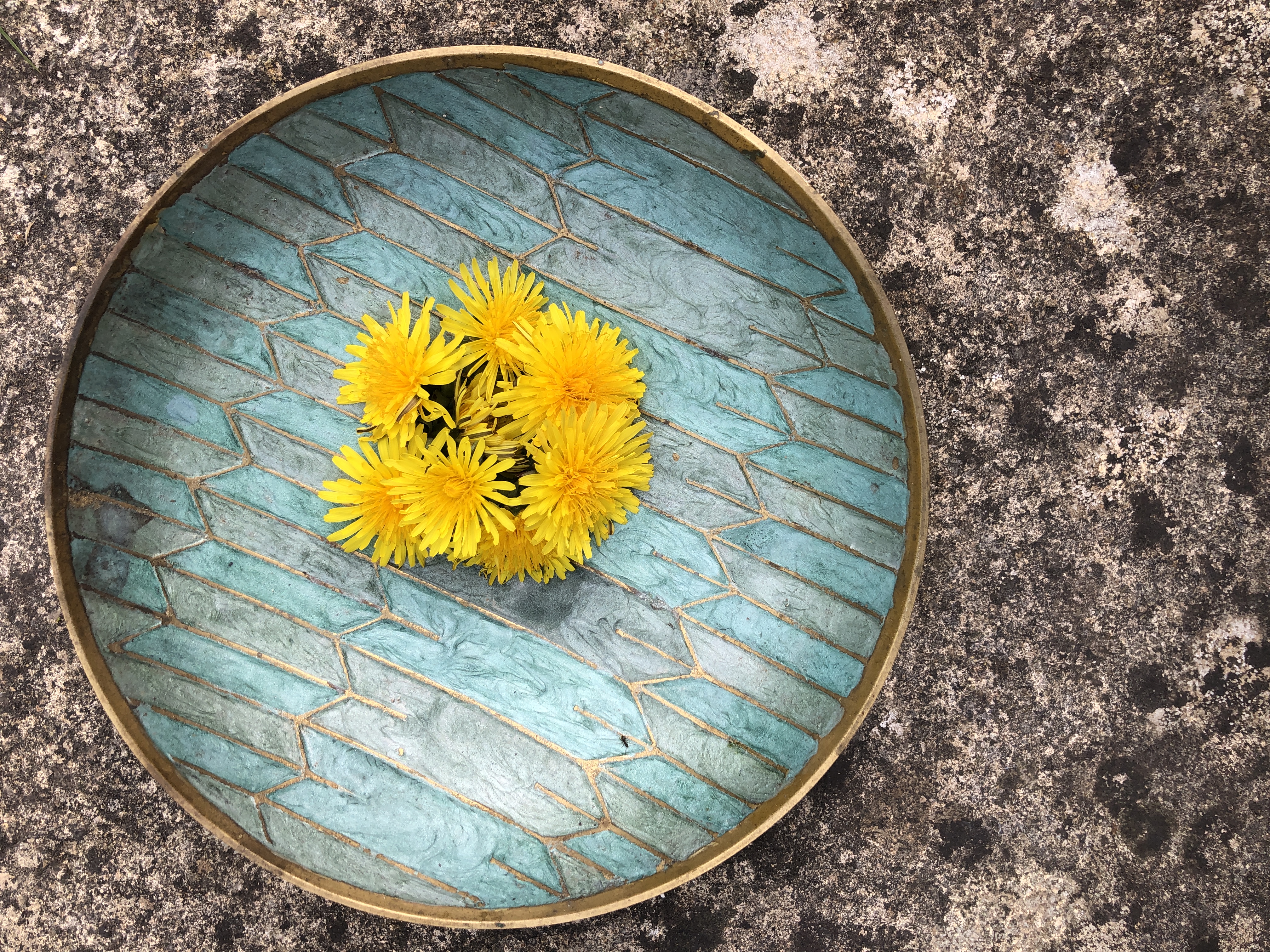 Dandelions