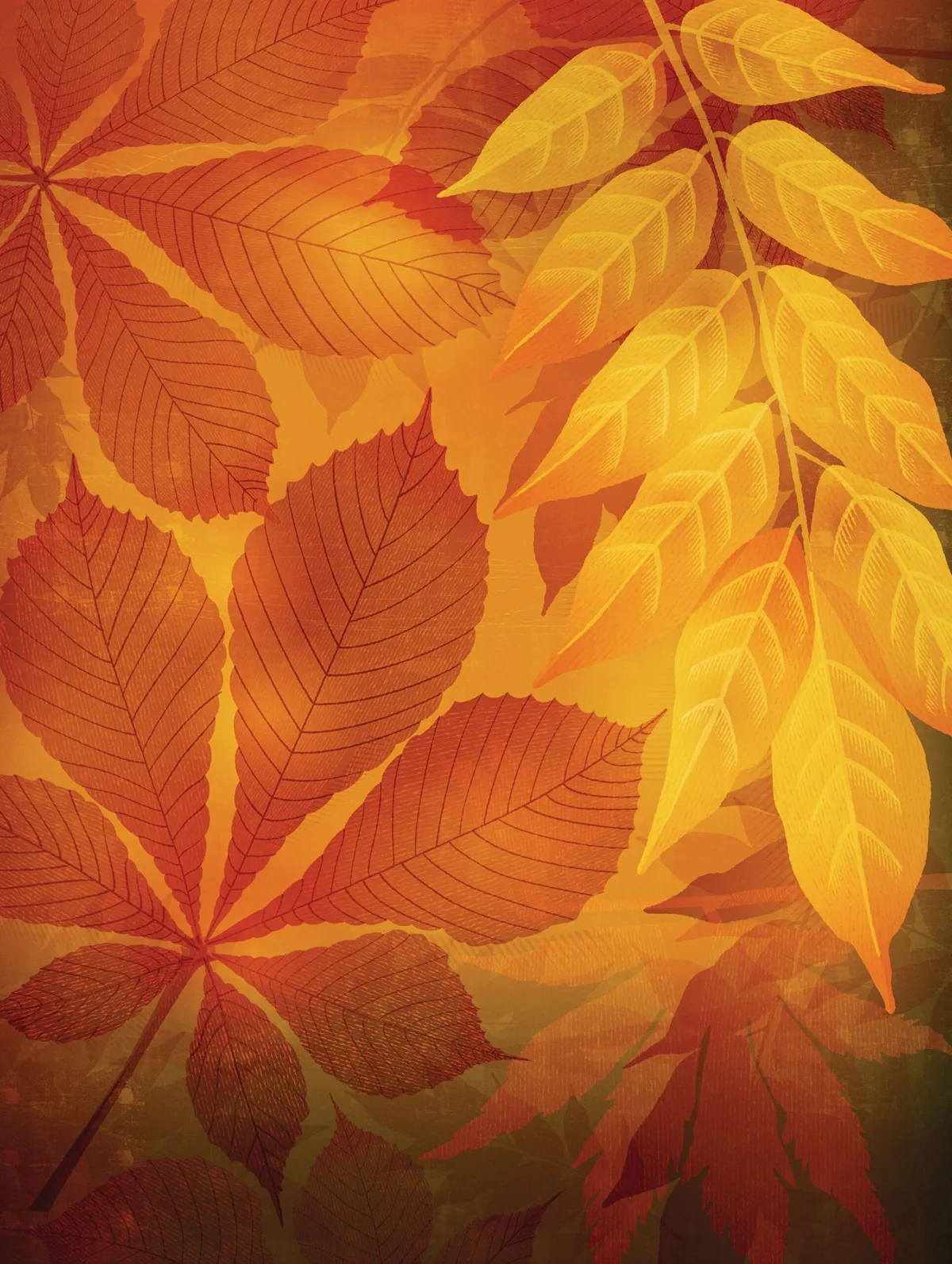 Autumn leaves illustration